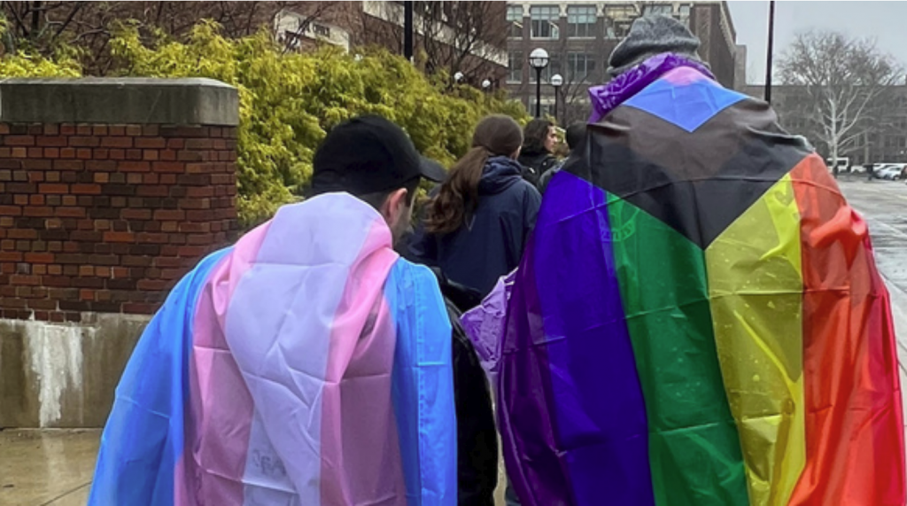 Two people with flags on their backs facing the camera. On the left is the trans flag and the right is the pride flag